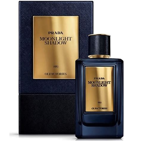 prada day for night price|prada olfactories moonlight shadow.